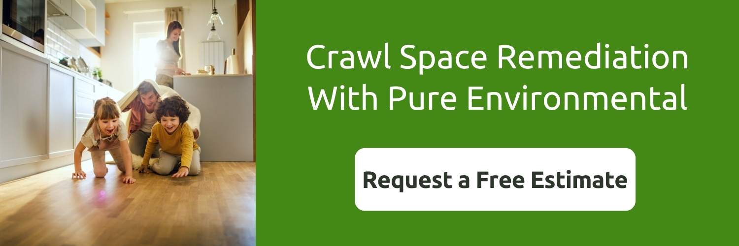 wet crawl space repair cost